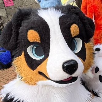 僕の名前はラルフ!犬種はオーストラリアンシェパード。ケモノ獣人です。I'm Furry Ralf is Fursuiters .Ver.2 since Oct. 2024🦮🐾