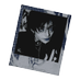 âââ â â â â âââ â â â â ââ ââ ðºerpent's wrath (@lunarlamella) Twitter profile photo âââ â â â â âââ â â â â ââ ââ ðºerpent's wrath (@lunarlamella) Twitter profile photo