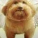 datsmojo (@datzmojo) Twitter profile photo
