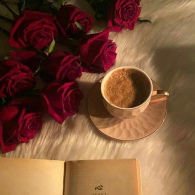 GMA47777's profile picture. https://t.co/oCUJZmpKvOالسعادة-تليق-بك-غدير-محمد