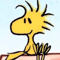 lis (@liscotrim) 's Twitter Profile
