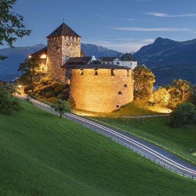 BlippiToad's profile picture. 