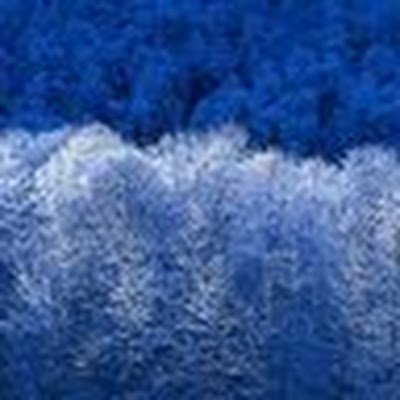 EliseBales14308's profile picture. 