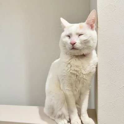 YuichiIshi0's profile picture. 毎日が勝利のチャンスですしかし私たちは生きていることに感謝し、創造者に感謝しなければなりません