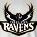 Steve Shearer (@steveshear59330) Twitter profile photo Steve Shearer (@steveshear59330) Twitter profile photo