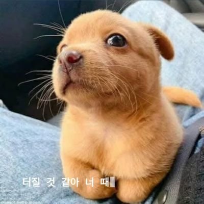 ฉันชอบเรื่องดีๆ 😍😍🥰😘