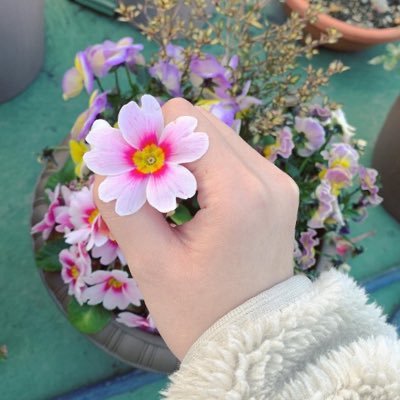 ゆき🧶さんのプロフィール画像