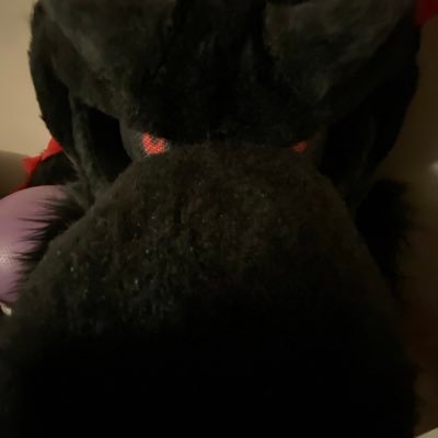 Raze | He/Him/His | 🏳️🌈🏳️⚧️🇵🇷 | 19 | your local fluffy kaiju lizard!!
