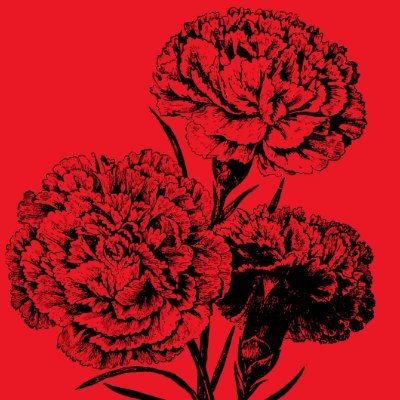 We need a mass socialist party cohered around a program and a four year plan of action. Learn more: https://t.co/1rpE9n64dS