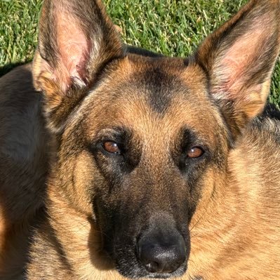 LuciaThibert's profile picture. 