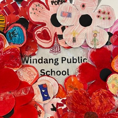 WindangPS Profile