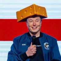 CEO OF SPACEX (@ceo_ofteslfa68) 's Twitter Profile