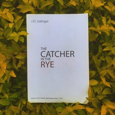 archie_veee's profile picture. 