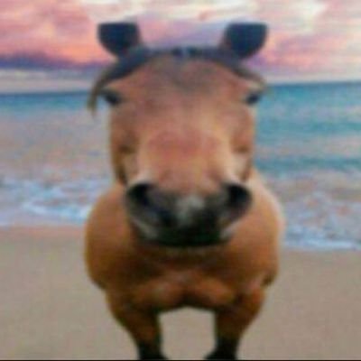 rayferwea's profile picture. All x ☀️// 23 // He/Him Albether and Lynther enjoyer // LYNEY 🥰💋
