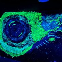 Fiat Fiat (@fiatmoneysucks) 's Twitter Profile