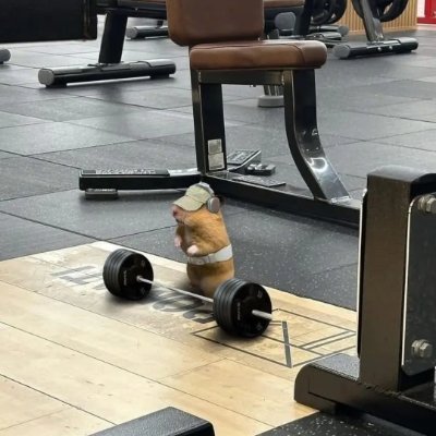 Bajii46's profile picture. cukurukuk