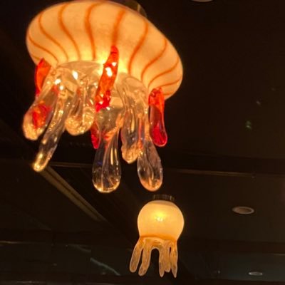 YutoMaedem's profile picture. KU 農 B3 水族館好き