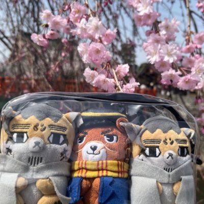 きたやんさんのプロフィール画像
