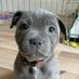 Buddy CTO 🐾 (@solanabuddycto) Twitter profile photo Buddy CTO 🐾 (@solanabuddycto) Twitter profile photo