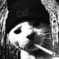 Mtz (@mtzcs2_) 's Twitter Profile