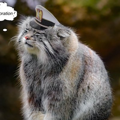 Mennesker2's profile picture. Neo-Brandeisian with Monopolistic Characteristics