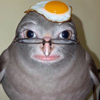 Yaoilove (@laffyfannat) 's Twitter Profile