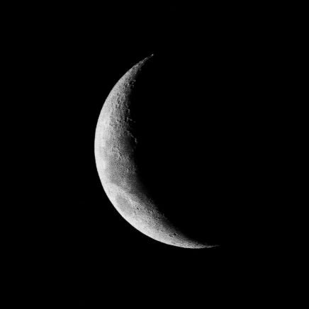 FlaaamingDragon's profile picture. free spirit 
#ISYMFS