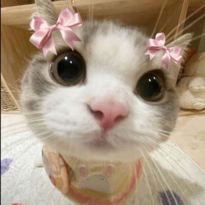 shaaylexo's profile picture. ㅤㅤㅤㅤㅤㅤ ㅤ