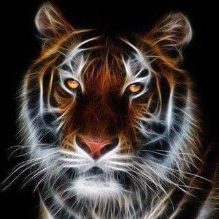 Weggen580823's profile picture. Man