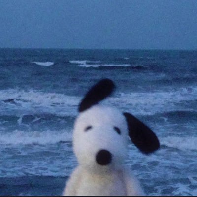 NonniB3ar's profile picture. i think i’m funny