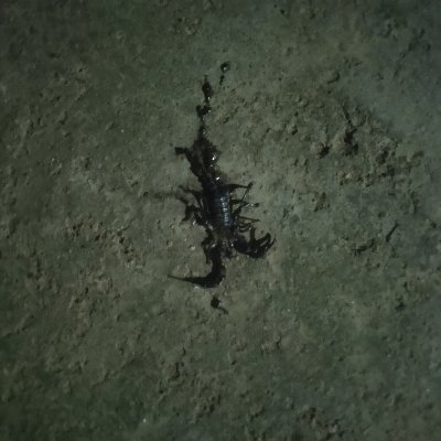 ashttadhatu_XXX's profile picture. We Are The QR Code Radioactive Gangstar Of, By And For Guilty Admiration Paradise, Family Vetting, 40 Years AM, Uranium 235 #KingKarana #sisterIran #QueenKarani