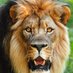 kadir (@uakadir3434) Twitter profile photo kadir (@uakadir3434) Twitter profile photo