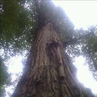 kevin hannaford *parody*