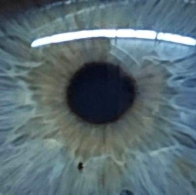 Marco59923553's profile picture. ⚓🫧↔️ Do all Things with kindness you Fucker.

X ist die offene Form der geschlossenen Anstalt.