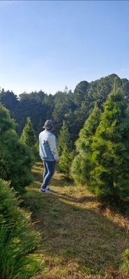 TheGaboookong1's profile picture. todo muy x