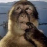 MrDuck (@mrduckmaster1) 's Twitter Profile