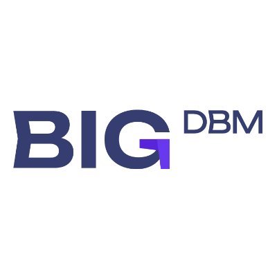 @BIGDBMGroup