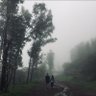 RajeshChande's profile picture. #freedom #fitness #birdphotography #investor