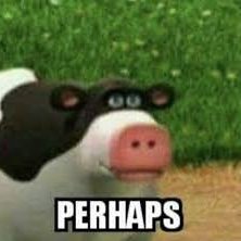 Megabytes91104's profile picture. balls