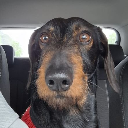 casiddmp5's profile picture. 