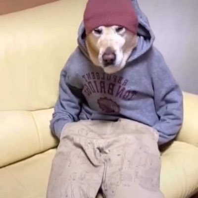 373_l0ve's profile picture. 筋トレ💪ゲーム🎮やります　言語聴覚士目指してます