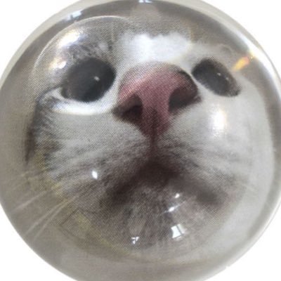 kingofmyts's profile picture. 💌