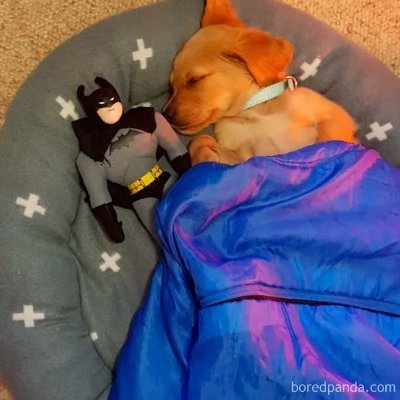 TonyChandler21's profile picture. 