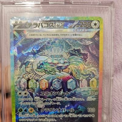 【東京都 20代】
ポケカ始めました。
カードゲーム超初心者です!御手柔らかにお願いします。