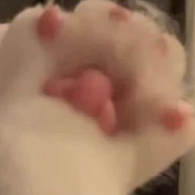 komugi_unreal's profile picture. @unreal202106います😼