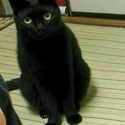 3ilXSLtQze66629's profile picture. 2021紅白から風沼落ち。藤井風に一生付いていきます