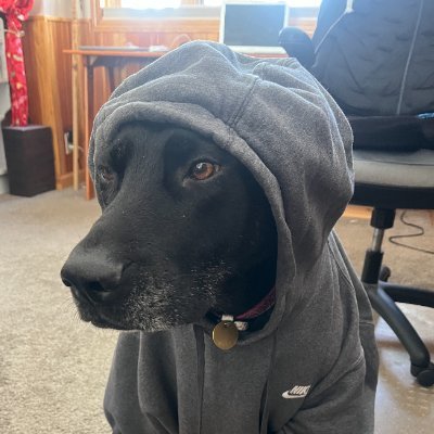 tbonefnn's profile picture. 