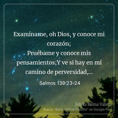 JoseAgu12504819's profile picture. Dios tiene el control