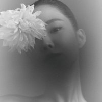ً (@_selenelise) 's Twitter Profile