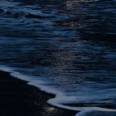 ppyang63325's profile picture. 